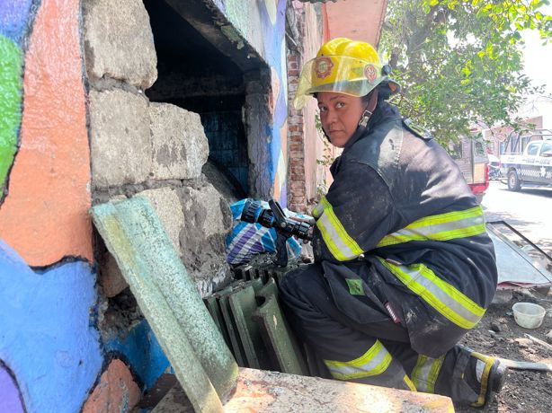 Se incendia vivienda ocupada como refugio en Veracruz y rescatan a un perrito | VIDEO