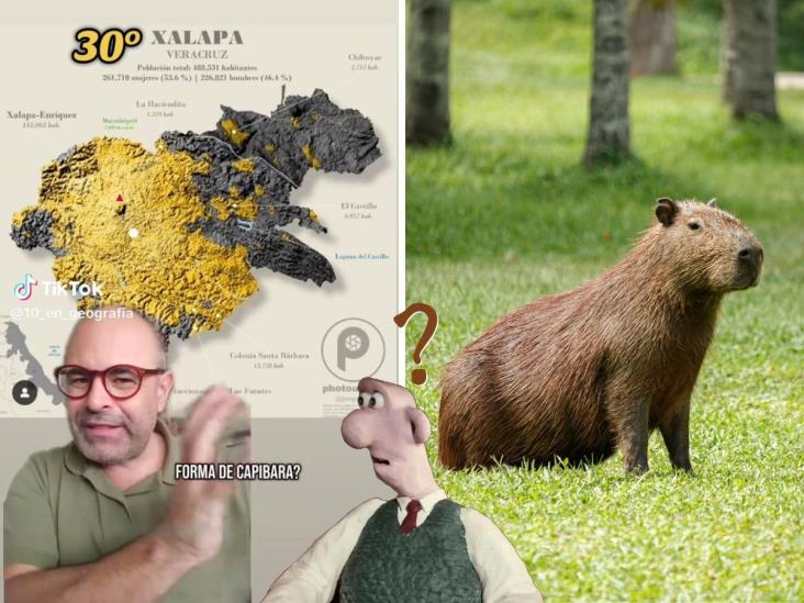 ¿Xalapa tiene forma de capibara? Video desata polémica en Tiktok