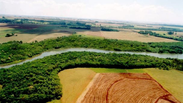 Ecosistemas conectados, clave para la conservación