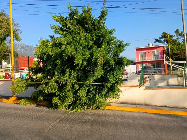 Surada deja afectaciones en zona de las Altas Montañas de Veracruz (+VIDEO)