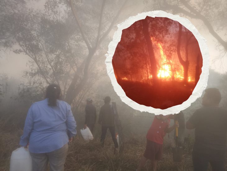 Más de tres hectáreas fueron consumidas por incendio forestal en Emiliano Zapata