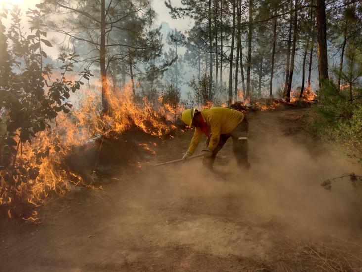 Con temporada de calor crece riesgo de incendios en zona centro de Veracruz