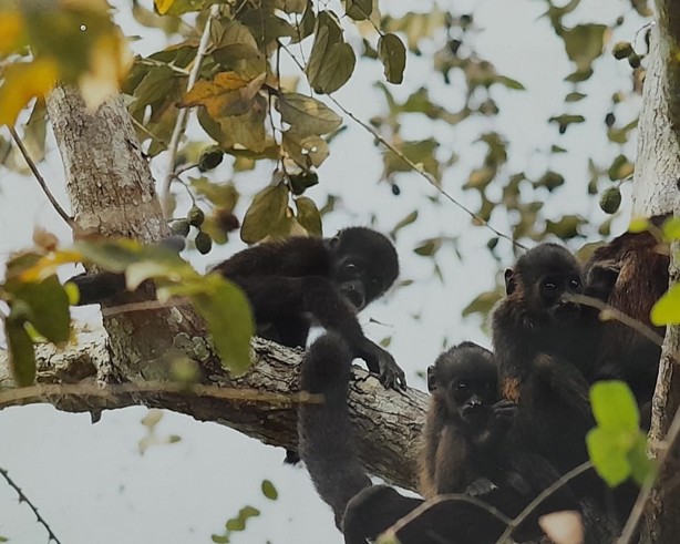 Gerardo Sánchez Vigil exhibe Veracruz: Singularidad y riqueza de su biodiversidad