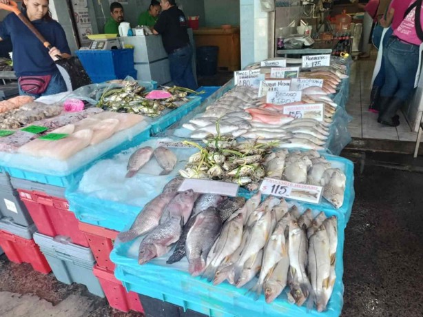 Cuaresma 2025: Así puedes llegar al mercado de pescadería en Veracruz | Rutas y precios