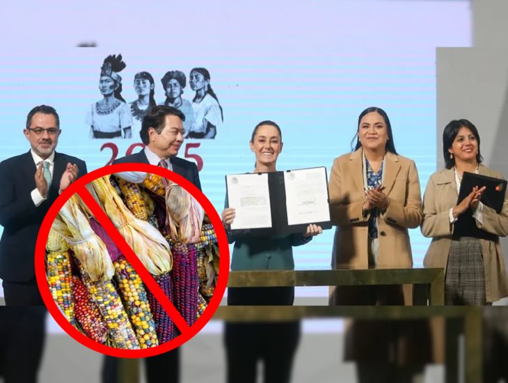 Claudia Sheinbaum firma decreto para prohibir el maíz transgénico en México