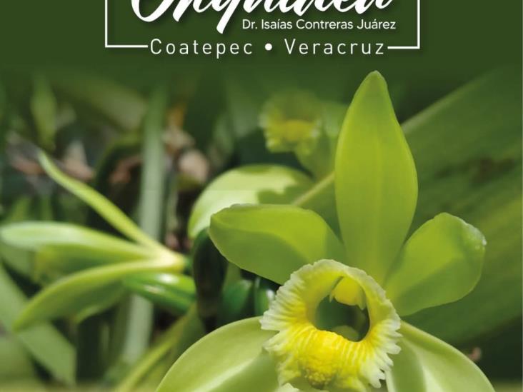 Feria Internacional de la Orquídea en Coatepec