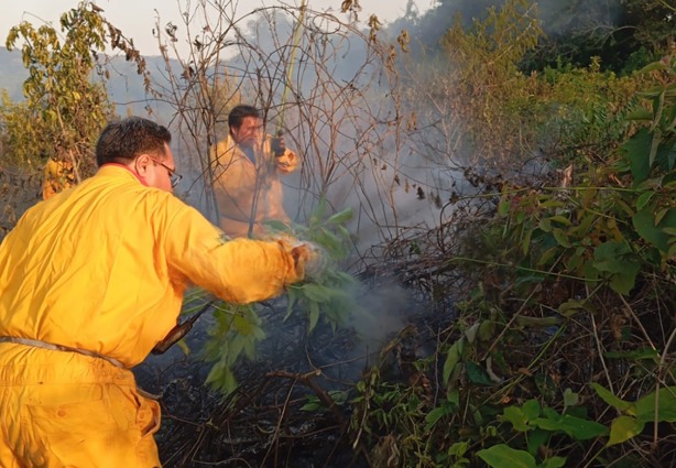 Incendio arrasa terreno para nuevo panteón en Misantla