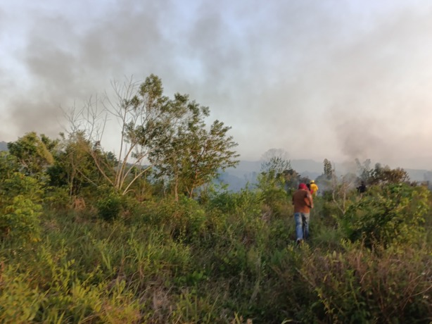 Incendio arrasa terreno para nuevo panteón en Misantla