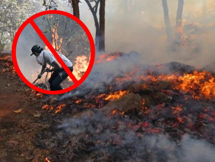 Secretaría de Medio Ambiente prohíbe quemas agropecuarias; hasta esta fecha 