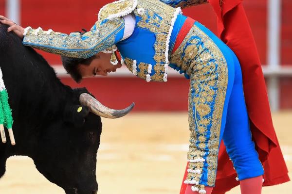 Congreso de la CDMX aprueba dictamen para prohibir corridas de toros con violencia