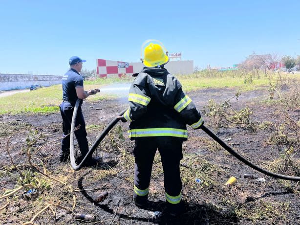 Incendio de pastizal arrasa con auto y camioneta en Veracruz | VIDEO