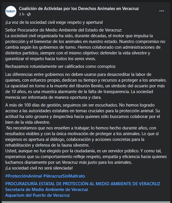 Animalistas exigen transparencia tras muerte de tiburón en Aquarium de Veracruz