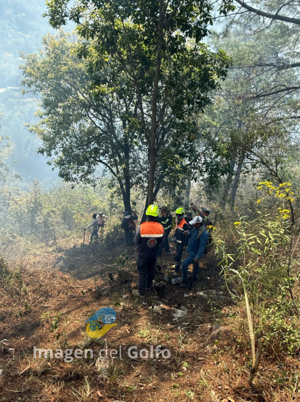 Incendio forestal en La Cuesta moviliza a brigadas de rescate en Ciudad Mendoza (+VIDEO)