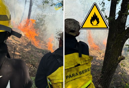 Incendio forestal en La Cuesta moviliza a brigadas de rescate en Ciudad Mendoza (+VIDEO)
