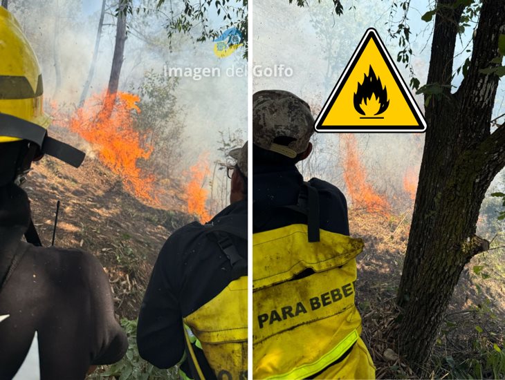 Incendio forestal en La Cuesta moviliza a brigadas de rescate en Ciudad Mendoza (+VIDEO)