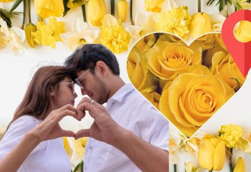 Dónde comprar flores amarillas en Xalapa para este 21 de marzo
