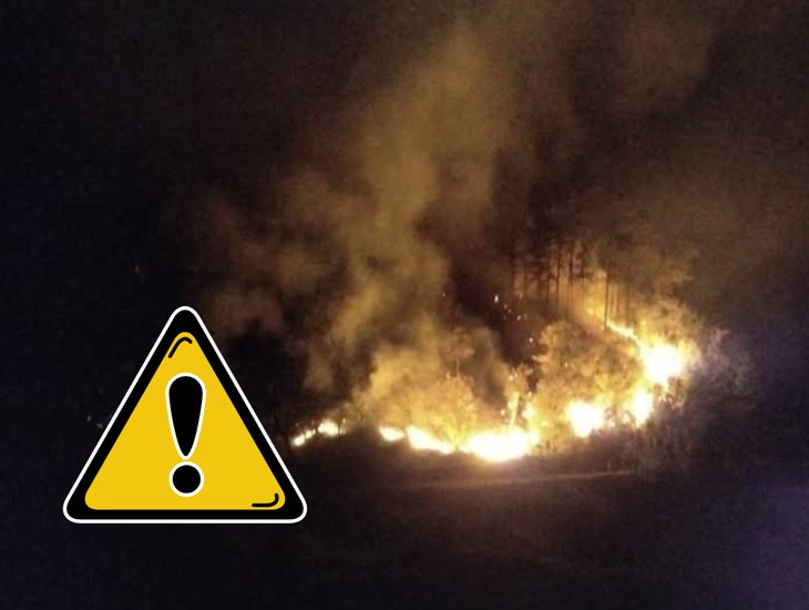 Combaten voraz incendio forestal a un costado de la carretera Misantla-Xalapa (+VIDEO)