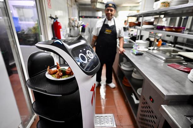 Conoce a Tilingo, el robot mesero que atiende en restaurante de Boca del Río | VIDEO