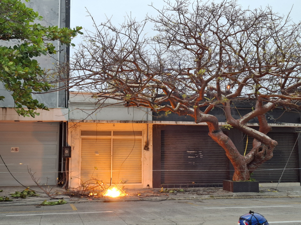 Cortocircuitos en colonia Flores Magón dejan sin luz a vecinos tras caída de cables