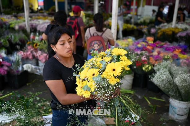 Jarochos acuden a comprar flores amarillas para regalar este 21 de marzo