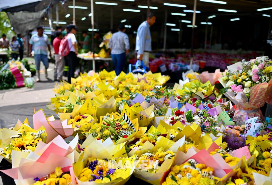 Jarochos acuden a comprar flores amarillas para regalar este 21 de marzo