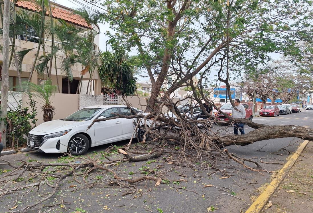 Estas son las afectaciones que dejó el norte en Veracruz