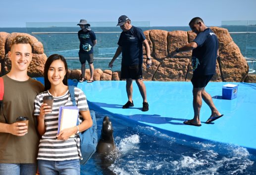 Aquarium de Veracruz: ¿Qué se necesita para hacer un voluntariado y cuidar a los animales?