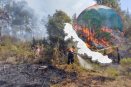 Suman 40 incendios forestales en Veracruz, en los primeros tres meses del 2025