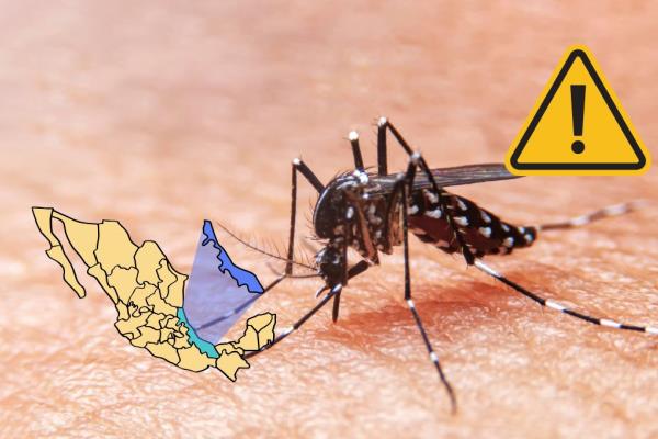 Aumentan casos de dengue en Veracruz; estos son los estados más afectados