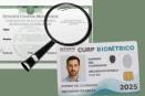 Nueva CURP tendrá foto y huellas dactilares