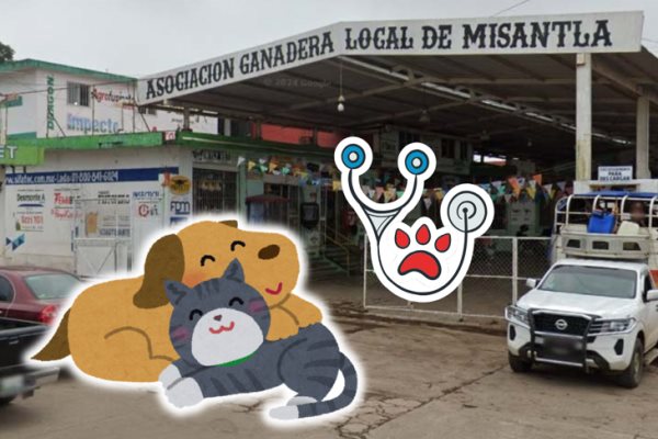 ¡Únete! Asociación Ganadera de Misantla tendrá jornada de salud para mascotas