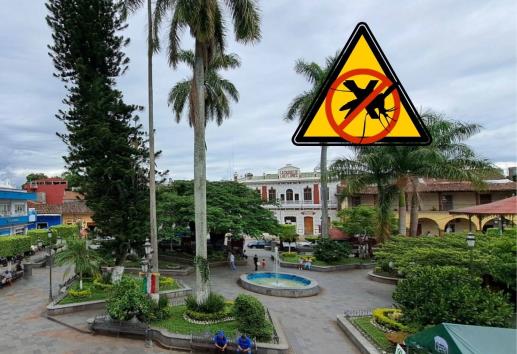 Confirman caso de dengue en Misantla; llaman a reforzar medidas preventivas
