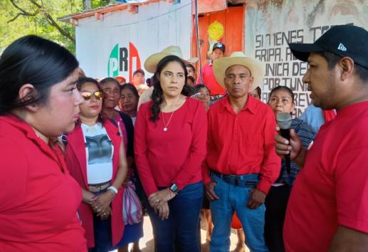 Niega Celia García vínculos con actos de violencia en Mixtla de Altamirano