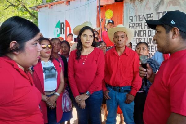 Niega Celia García vínculos con actos de violencia en Mixtla de Altamirano