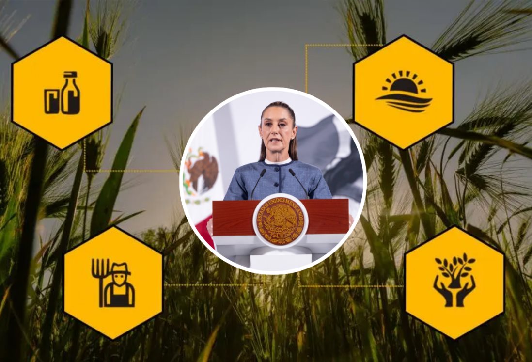 Claudia Sheinbaum anuncia programas para buscar la autosuficiencia alimentaria con el Plan México