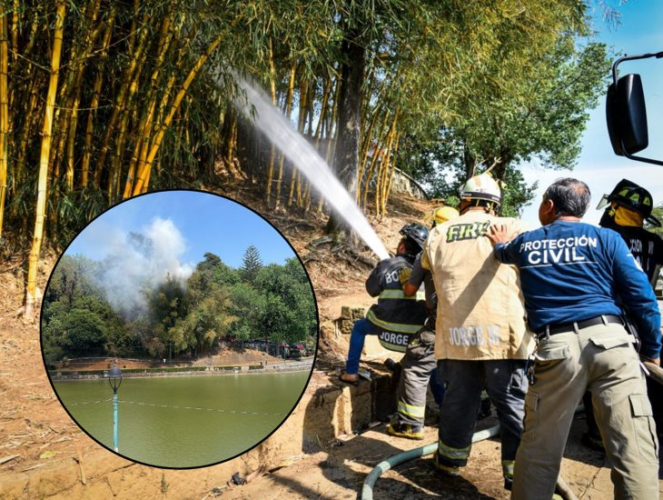 ¿Qué causó el incendio en el Paseo de Los Lagos de Xalapa?