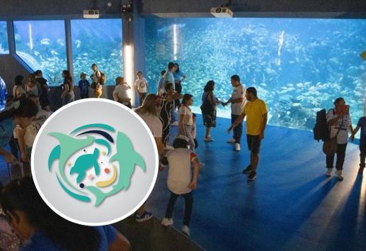 ´Conexión Azul´ el programa del Aquarium de Veracruz, ¿de qué trata?