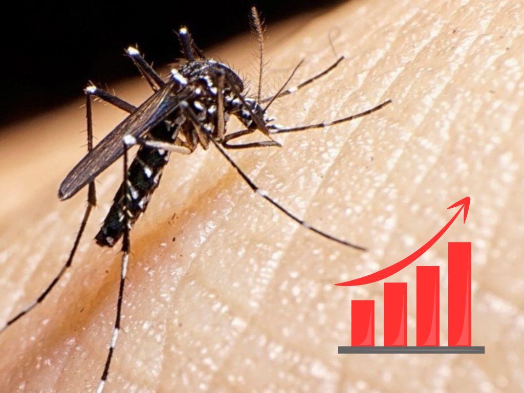 Secretaría de Salud alerta por aumento de casos de dengue en el sureste del país | VIDEO