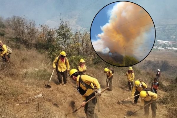 Avanzan labores para controlar incendio forestal en Aquila; esto reporta PC