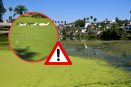 Aumenta contaminación del lago de Las Ánimas en Xalapa (+Video)