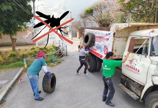 Avanza combate al dengue en colonias de Ciudad Mendoza