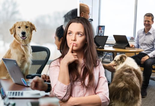 ¿Puedo llevar a mi perro al trabajo en México? Esto dice la Ley Federal del Trabajo