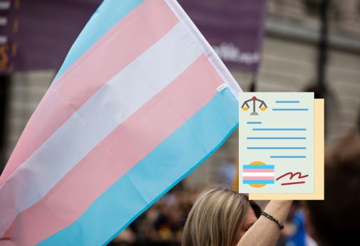 Urgente, incluir al transfeminicidio en el Código Penal de Veracruz