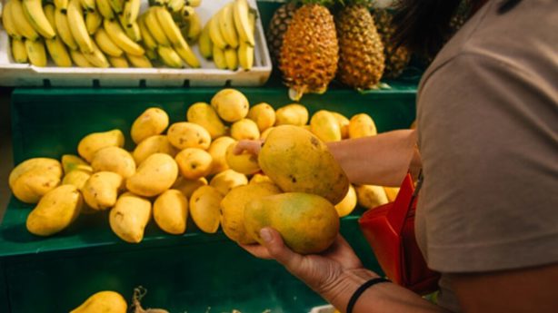 Miércoles de Plaza de La Comer: estas son las ofertas de hoy 9 de abril
