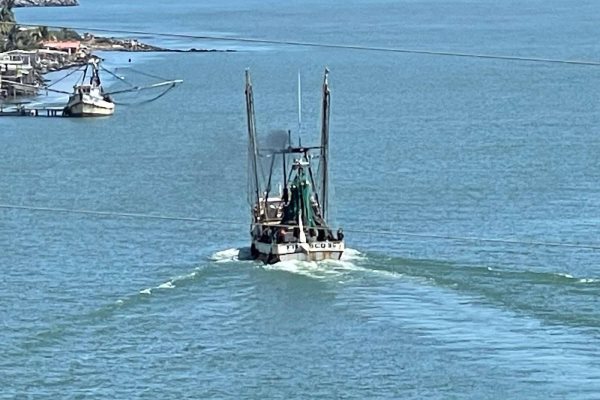 Barco daña cableado y deja sin luz a 20 colonias de Alvarado
