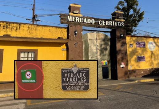 Desde callejeros hasta mascotas; prohíben animales en este mercado de Orizaba