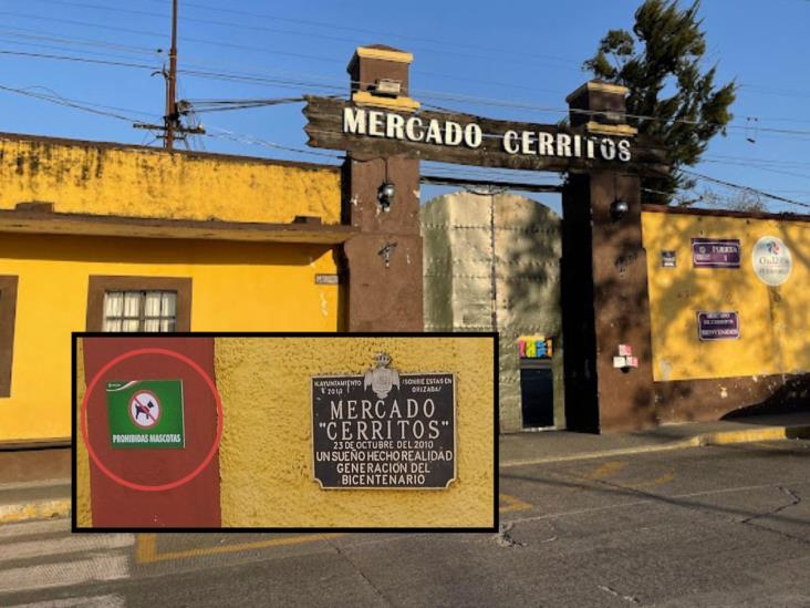Desde callejeros hasta mascotas; prohíben animales en este mercado de Orizaba