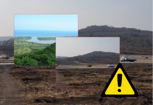 Granja de pollos en Actopan, una amenaza ambiental, reclaman activistas