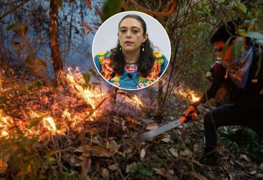 Incendios en Veracruz: Registra SPC 16 en un fin de semana; tres siguen activos