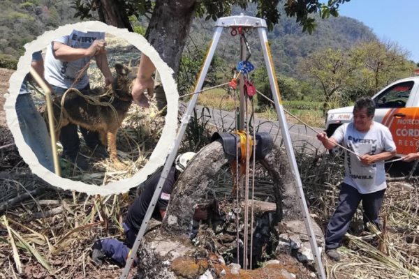 ¡Héroes sin capa! Rescatistas salvan a perrito que cayó a un pozo sin brocal, en Córdoba